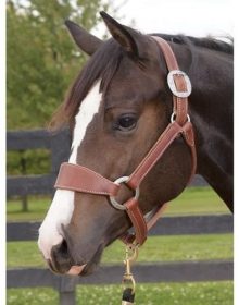 Weaver Leather Stacy Westfall Plain Nose Bronc Halter Average Horse