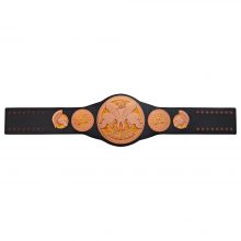 WWE Kids Tag Team Championship Replica Title Belt
