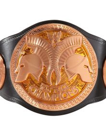 WWE Kids Tag Team Championship Replica Title Belt