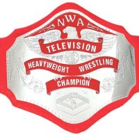 NWA TELEVISION Heavyweight Wrestling Championship Replica BELT Adult Size